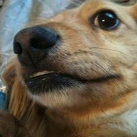 Catherine York Photo 31