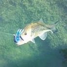 Timothy Russell Photo 5