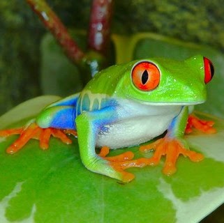 Vicky Wells Photo 15