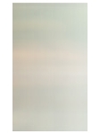 Charles Yoon Photo 1