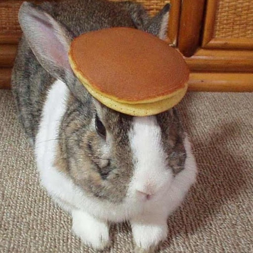 Karen Kraft Photo 14 Karen Kraft Photo 14