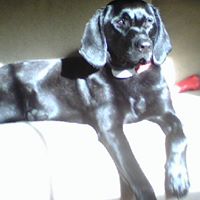 Michael Groner Photo 13