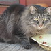 Ruth Back Photo 19
