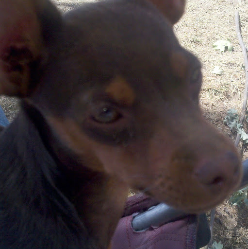 Gina Hawkins Photo 36