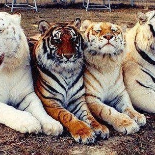 Julie Sloan Photo 39