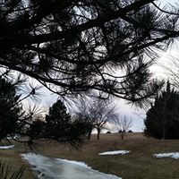 Susan Lemke Photo 19
