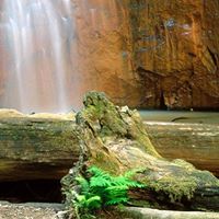 Anne Mclellan Photo 13