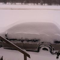 Randolph Rowland Photo 10