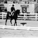 Christopher Hickey Photo 37