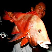 John Joubert Photo 31 John Joubert Photo 31