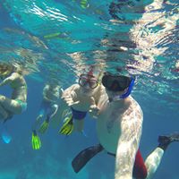 Mark Schmidt Photo 21