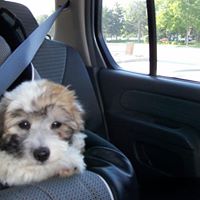 Linda Simone Photo 11