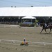 Debbie Mcdonald Photo 7