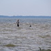 Susan Houghton Photo 24