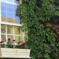 Jane Stevenson Photo 13