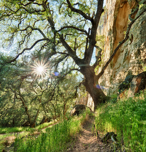 Gerald Rust Photo 8