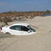 Robert Cooney Photo 19