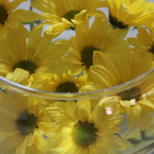 Alexis Sharp Photo 9