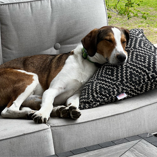 Janet Townley Photo 2