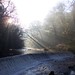 Juliet Weir Photo 5