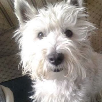 Jade Turner Photo 26