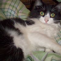 Terrie Stevens Photo 30