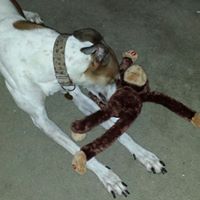 Janice Morin Photo 22