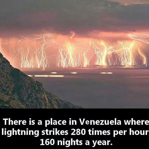 Marlene Anderson Photo 25