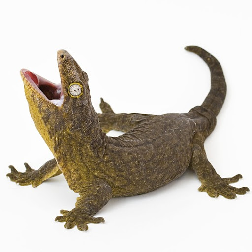 Michael Matter Photo 6