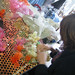 Deb Wheeler Photo 8