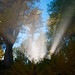 Ray Wallis Photo 26