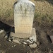 Kathleen Cavanaugh Photo 11