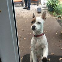 Mary Lockwood Photo 14