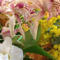 Elizabeth Luby Photo 11