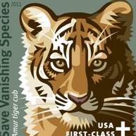 Michelle Crouch Photo 13