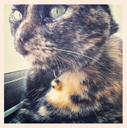 Anne Davis Photo 41 Anne Davis Photo 41