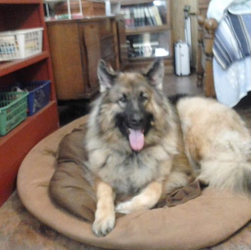 Johnny Hendricks Photo 21