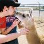 Chris Kirkpatrick Photo 11