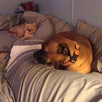 Sharon Bostic Photo 7