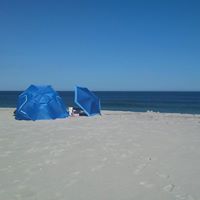 Stephanie Hess Photo 12