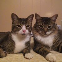 Christina Story Photo 25