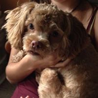 Debbie Miles Photo 2