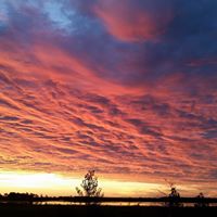 Robert Wenzel Photo 34