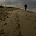 Andrea Cortese Photo 28