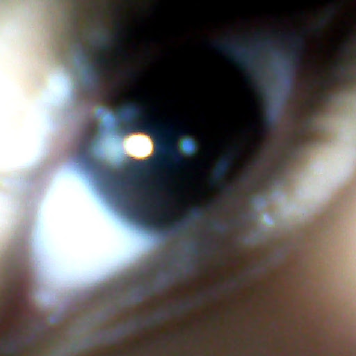 Valencia Torres Photo 1