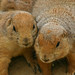 Bennie Long Photo 8