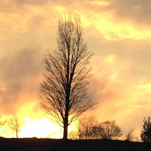 Jill Harvey Photo 21