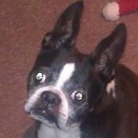 Robyn Acevedo Photo 1