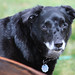 Beatrix Brown Photo 12
