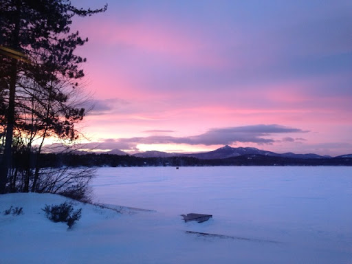 Judith Robertson Photo 33